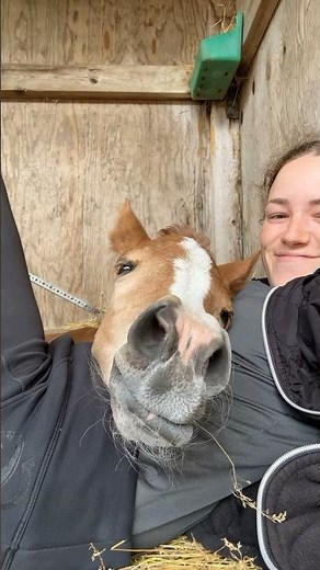 Cute foal sounds, neighing - Mirabella 1 week old, Ida Skafte Bendsen
