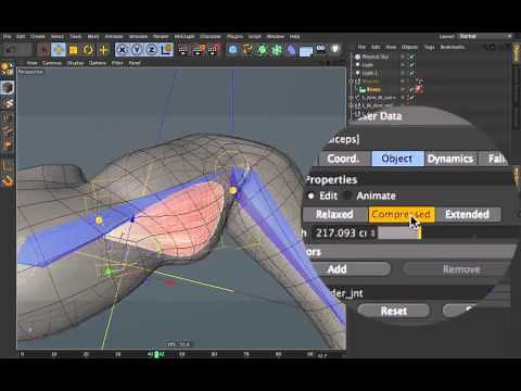 Tip - 93: How to Flex Muscles in Cinema 4D R13