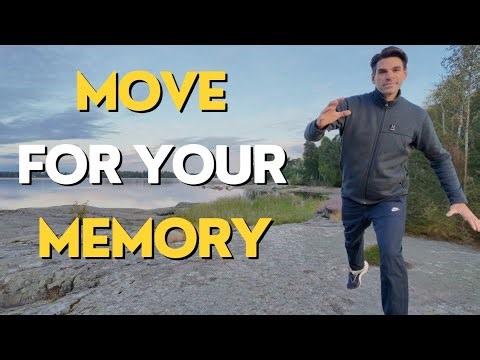 Boost Brain Health Today | Low-Impact Daily Workout for Seniors & Beginners