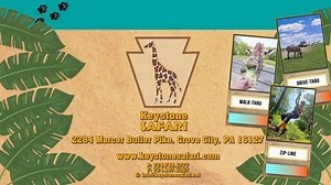 DISCOVER ADVENTURE AT #keystonesafari 🦁 We are open daily from 10am-6pm. Experience our walk-thru and drive-thru safaris, educational safari truck tours, and our exciting zip-line adventure course. 🦁 Multiple feeding opportunities are offered daily with our penguins, giraffes, reindeer, and barnyard! Animal enrichment activities and educational keeper talks happen daily as well. We offer something for everyone! 🦁 Group visits, birthday parties, and private parties are available! Plan your vis