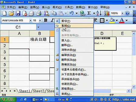 Microsoft Office Excel 2003基础视频教程(16)