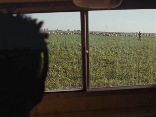 12K views · 370 reactions | Sonder - Too Fast | RACK$ | Facebook