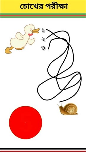 Which path will the duck take to reach the snail? #viralshorts2025 #puzzlepoint