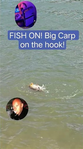 PS5 Remote Play in the Wild! Catching Carp with DualSense Edge 🎣🎮