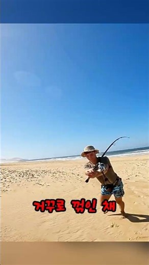 해변에서 상어랑 줄다리기?! 드랙이 녹아내렸습니다 🦈