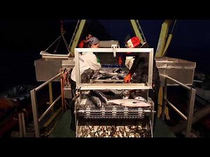 Alaska Salmon Fishing Offload Explained