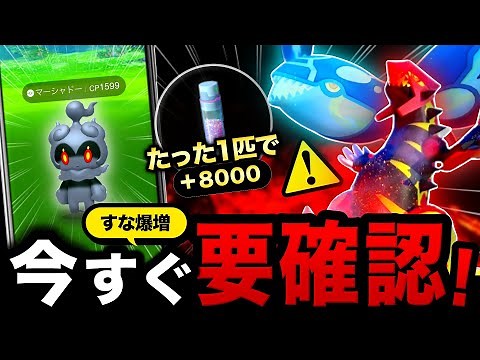 たった１匹で8000すな爆増イベント＆GOフェス2024日程とマーシャドー判明！カイオーガ＆グラードン強さ解説と最新まとめ【ポケモンGO】