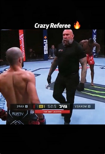 Crazy Referee#usa #mma #fyp #tiktok #ufc #boxing | referee during game