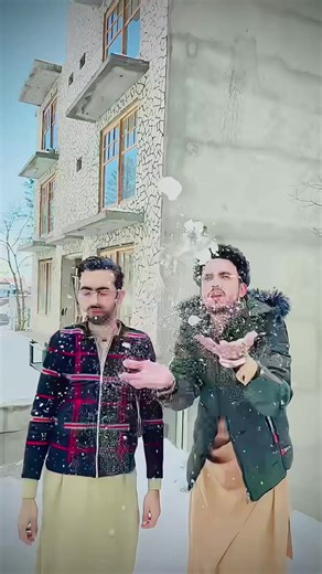 Exploring the Murre Birds in Nature's Beauty