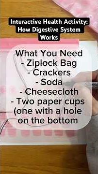 Teaching Activity for Health Class: How Digestive System Works #healthteacher #homeschool #health