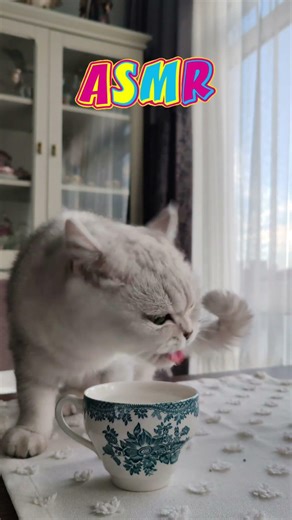 Günlük su içme rutinimize devam 😸😸