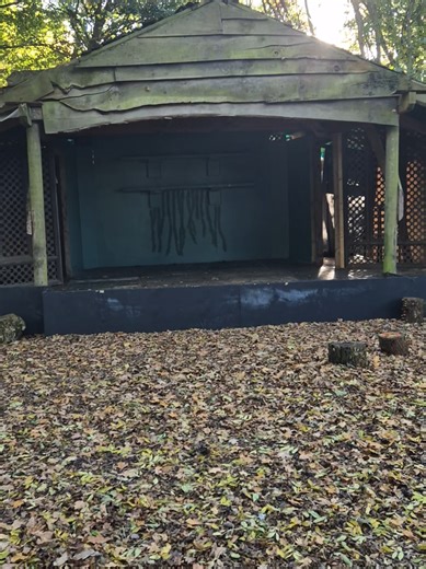 Discover the Barkside Stage at Timescape Festival