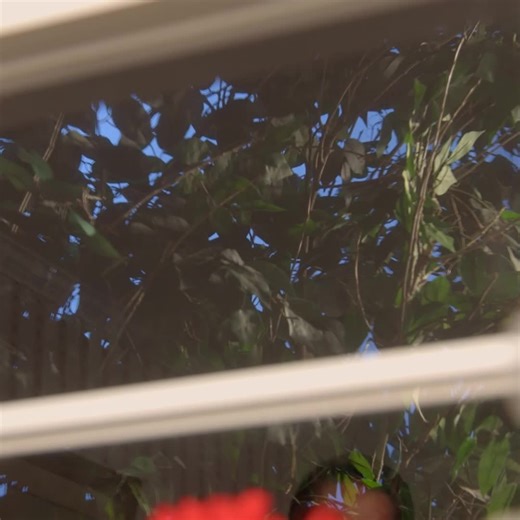 maria added (@maria.added784)’s videos with original sound - maria added