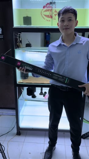 TICA LIGHT: Adjustable Tanning Light for Arowanas