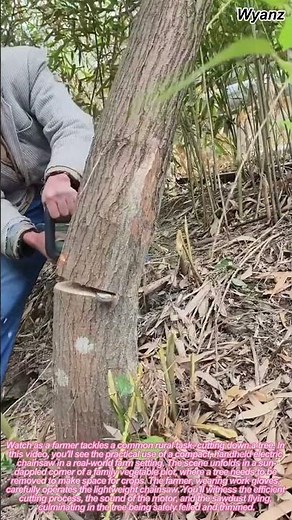 How to Cut Down a Tree Safely with a Portable Electric Chainsaw | DIY Farm Work