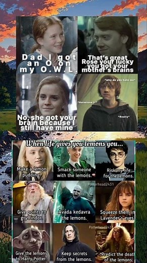 Potterhead Humor: Wizarding Logic & Lemon Life Lessons#harrypotter #1vs4 #memes #shorts
