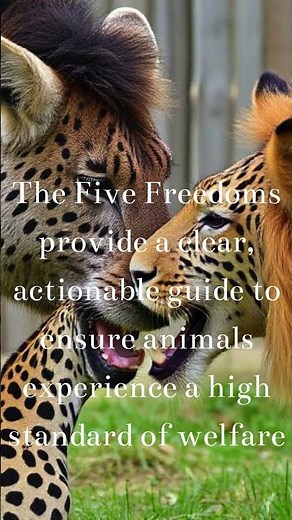 The Five Freedoms: Ensuring Optimal Animal Welfare