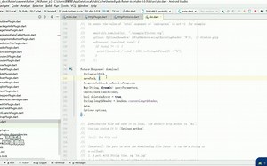 Flutter-dio下载文件