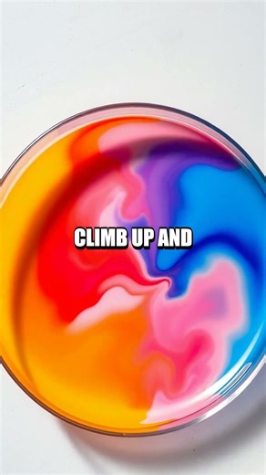 A Brilliant DIY Diffusion Lantern at Home