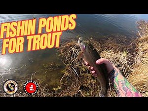 Fishing Ponds For Stocked Trout