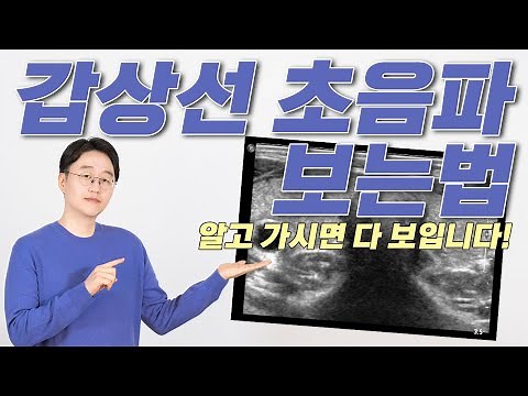 갑상선초음파 보는법 어렵지 않아요 검사전 영상 한번만 보고가심 다 보입니다.