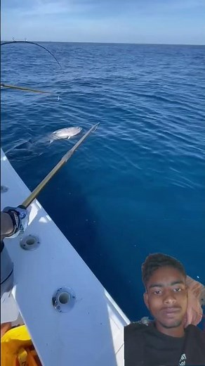 A CRAZY Yellowfin Tuna Gaff Shot You've NEVER Seen Before!#shorts #foryou