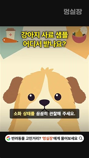 강아지 사료 샘플, 어디서 받나요?