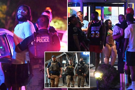 US military preparing to surge National Guard troops to Washington, DC, to fight local crime and youth violence: report