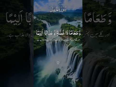 Quran telawat।। al musad