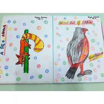 Sikkim project in English for all classes #easysikkimproject #sikkimproject