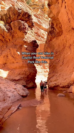 Exploring the Hidden Gems of Sulphur Creek in Capitol Reef National Park