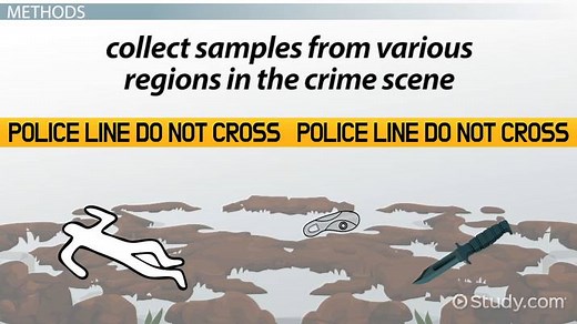 Forensic Soil Analysis: Evidence & Testing