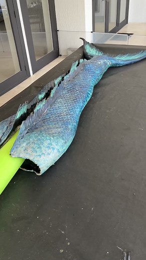 Original blue H2O Mermaid tail #mermaid #mermaidtail #art #sfx #ariel #splash #h2o #h2ojustaddwater #makomermaids #fish #florida