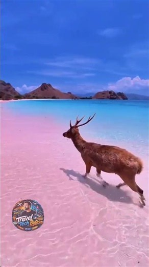 Indonesia Travel Guide 2026 🇮🇩 | 10 Incredible Places You Must Visit Before You Die #viralshorts