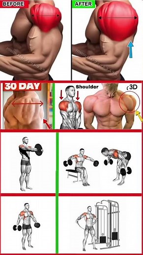 Ultimate Shoulder Workout | Animated Exercise Routine for Stronger Shoulders