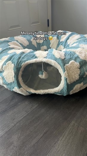 I can’t believe he actually fits in this tube #cat #cattok #meme