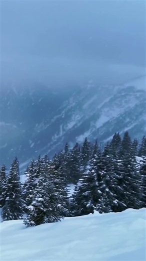 Snowy Mountain Silence ❄️🏔️ | Peaceful Falling Snow Sounds #ambience