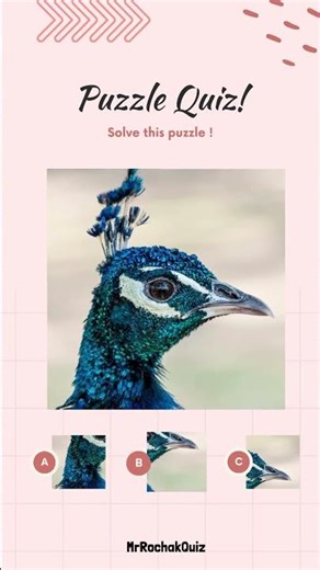 Only Geniuses Solve This Puzzle Fast!