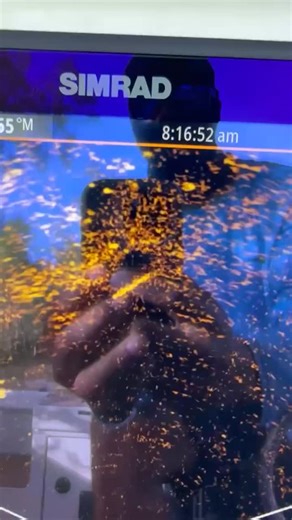 Our Simrad 16,s paired up with active target showing us where the big girls swim!! 🎣👌🔥#simradyachting #activetarget2 #ntfishing #barraorbluefishingcharters #getonboard | Barra or Blue Darwin Fishing Charters