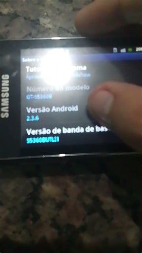 Android 2.3.6 (2011) Easter Egg