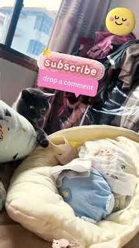 猫猫和人打闹#搞笑 #搞笑视频 #猫 #搞笑視頻