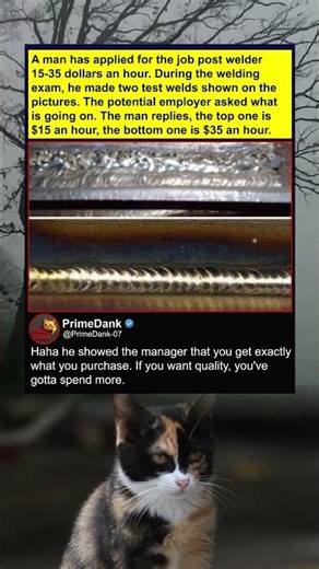 You get what you pay for 🛠️ | funny memes | relatable American memes | dank memes