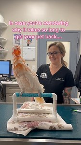 380K views · 11K reactions |  | Cricket World Cup 2015 | Facebook