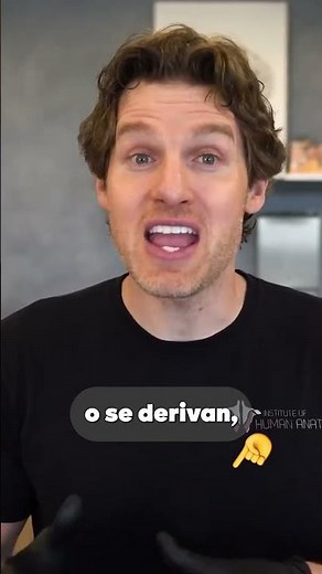Qué es la sangre