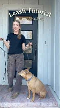 My go-to leash for personal and client dogs