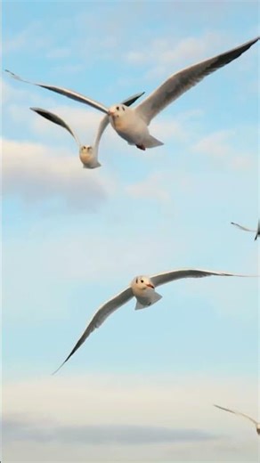 Breaking Stigma: Understanding Benzo Dependence Journey