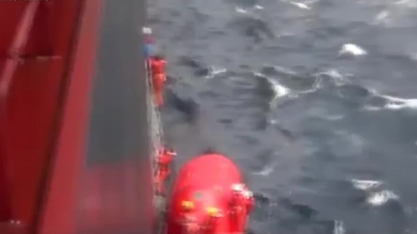 Billion-Dollar Mistakes That Led to Losing 1,800 Containers in Suez Canal