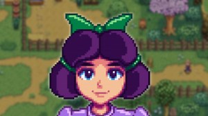 Stardew Valley Jas guide