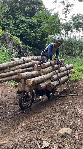 Tutorial naik motor palang fulll muatan #fyp #ojegpalang #viral #jangkauan | Toto Sugiarto