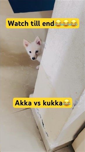 Akka vs kukka😂 #minivlog #comedy #shorts #funny #comedy #viral #video #sa